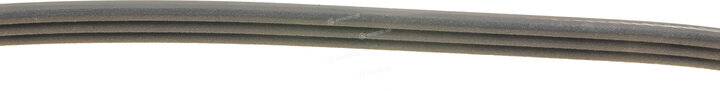 Dayco 3PK630