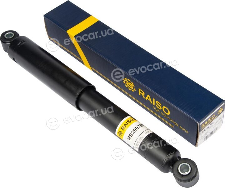 Raiso RS290788