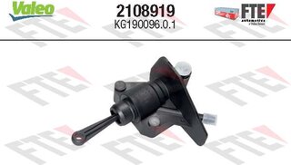 FTE 2108919