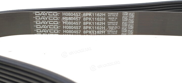 Dayco 8PK1162H