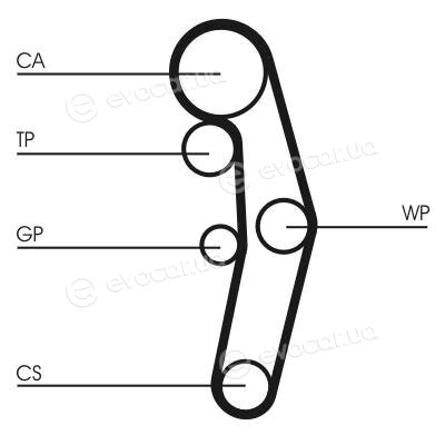 Continental CT1028WP6