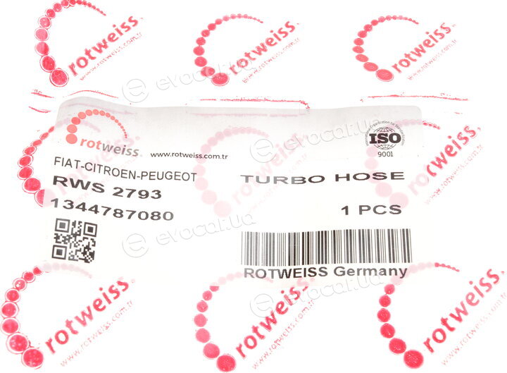 Rotweiss RWS2793