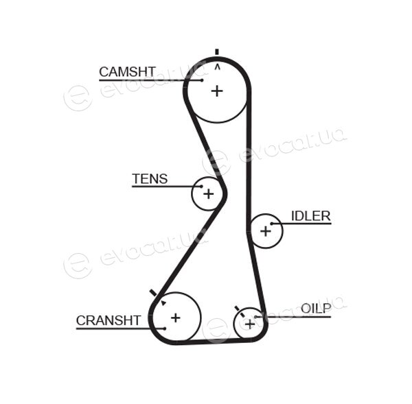 Gates K015481XS