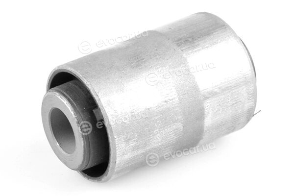 Tedgum TED41043