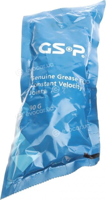 GSP 601466