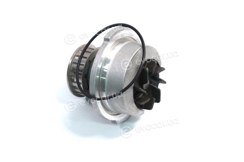 Metelli 24-0441