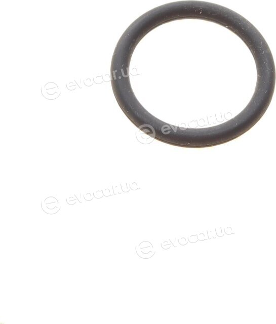 Elring 635.580