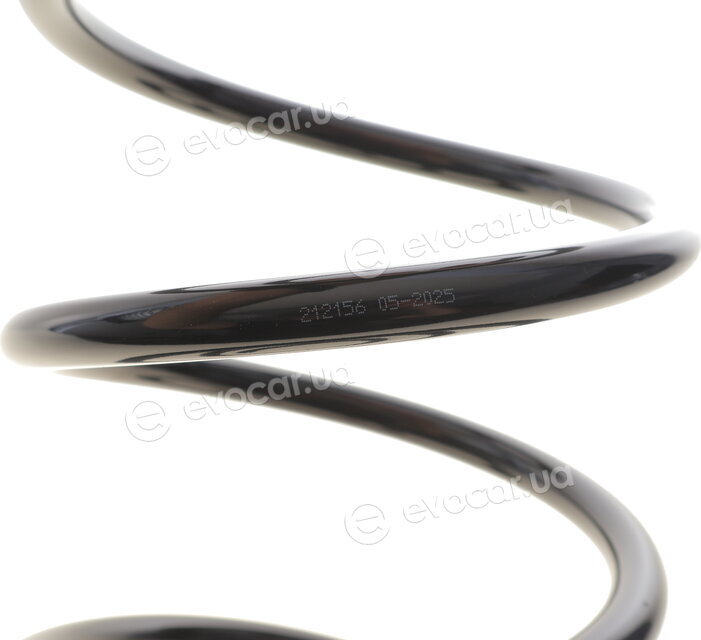 Solgy 212156