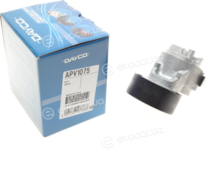 Dayco APV1075