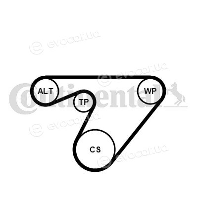 Continental 6PK1180K3