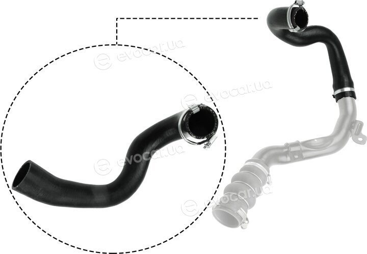 Rapro R16241