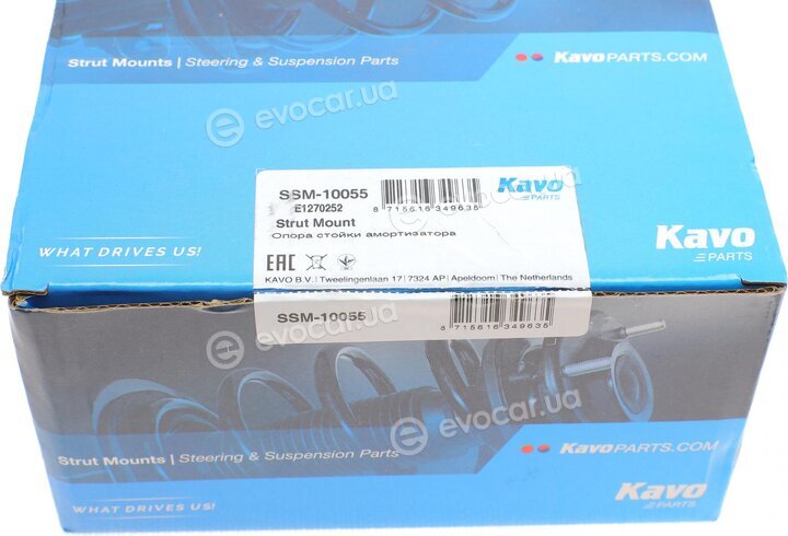 Kavo SSM-10055