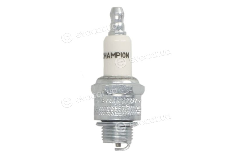Champion RJ19LMC/T10