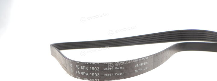 INA FB 6PK1903