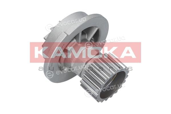 Kamoka T0066
