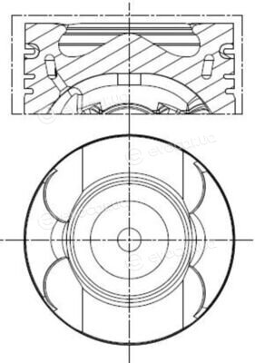 Mahle 013 PI 00156 002