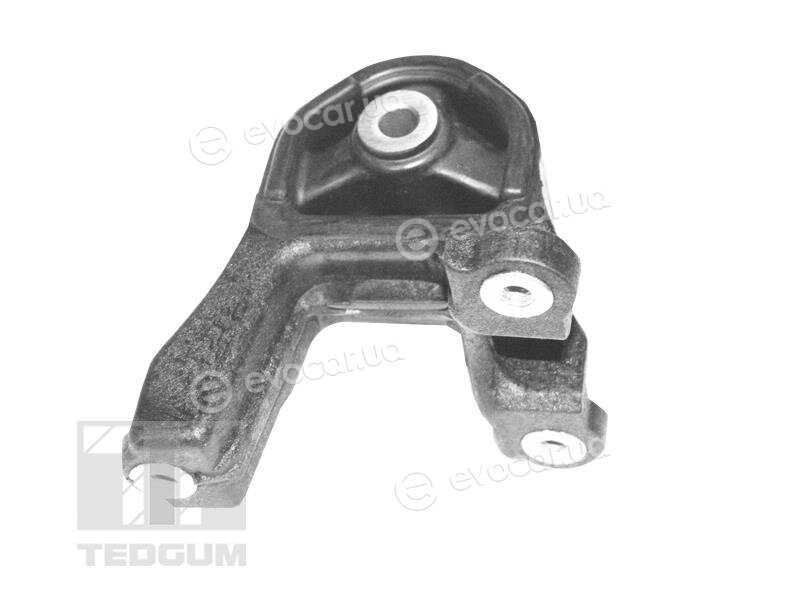 Tedgum TED98330