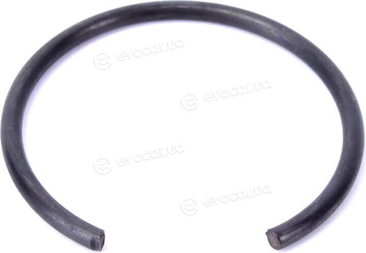 Magneti Marelli 302015100293