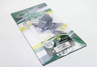 BGA HN4300