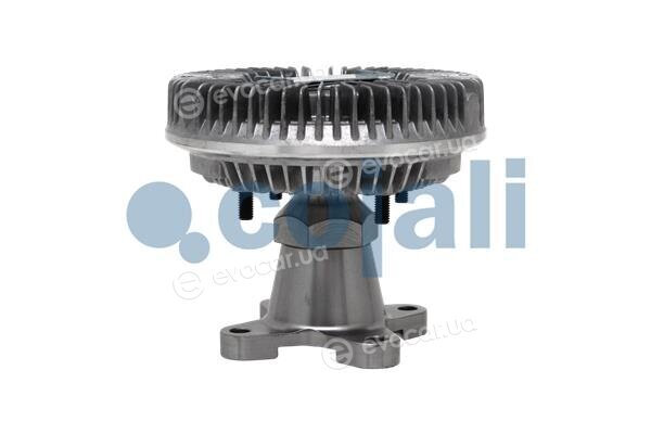 Cojali 7043106
