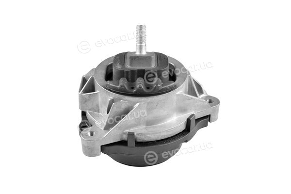 Tedgum TED98788