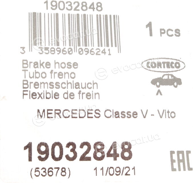 Corteco 19032848