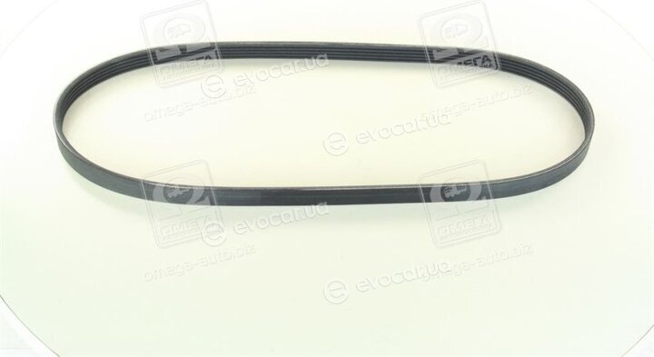 Continental 5PK1025