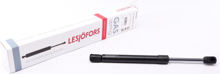 Lesjofors 8127561