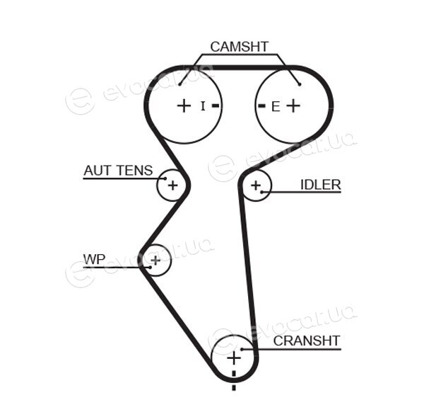 Gates K015419XS