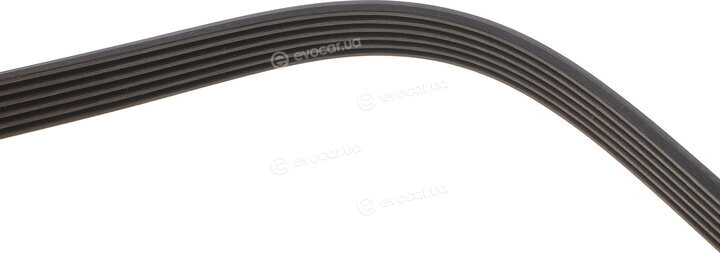 Dayco 6PK1230