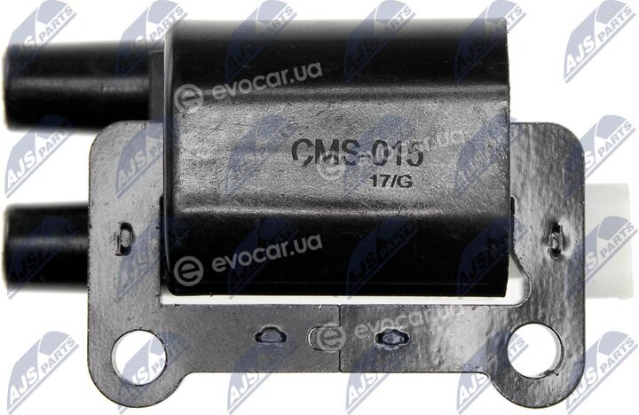 NTY ECZ-MS-015