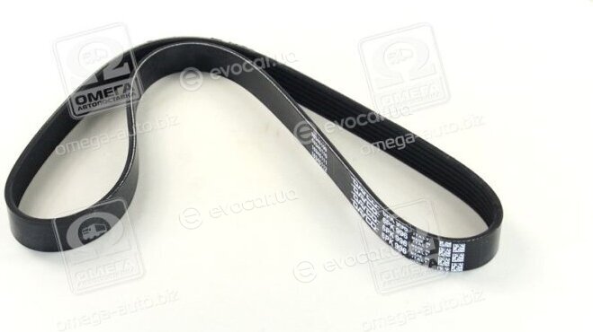 Dayco 6PK996