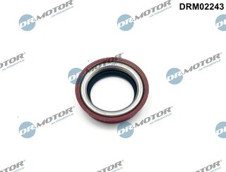 Dr. Motor DRM02243