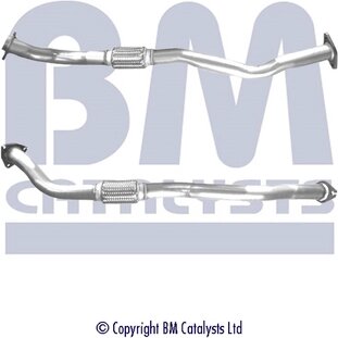 BM Catalysts BM50144
