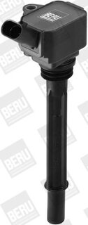 BorgWarner ZS096