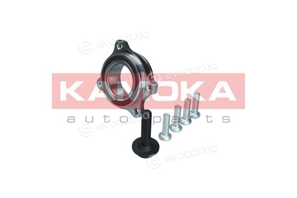 Kamoka 5500174