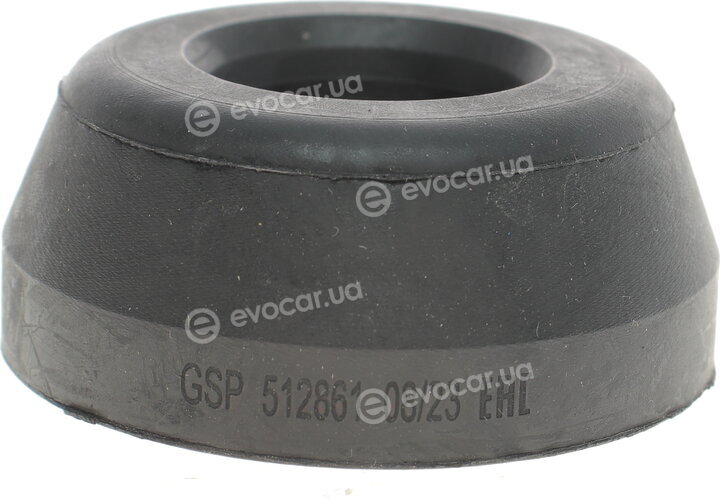 GSP 512861