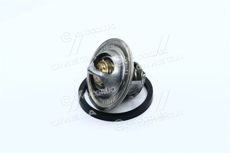 Wahler / BorgWarner 3017.92D2