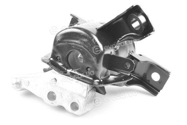 Tedgum TED97356