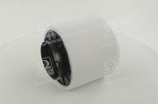 Champion CAF100489R
