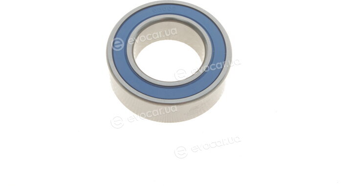 PFI 63007-2RS C3