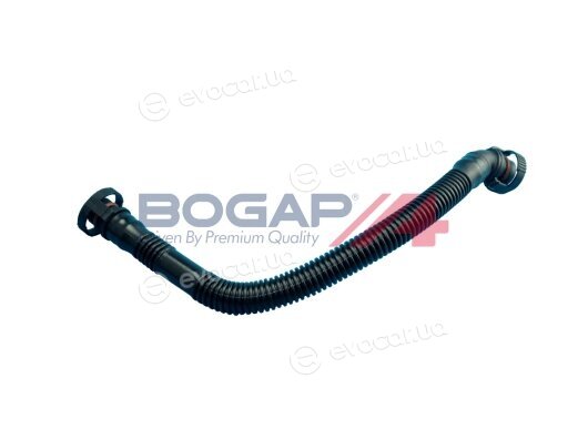 Bogap B1210120