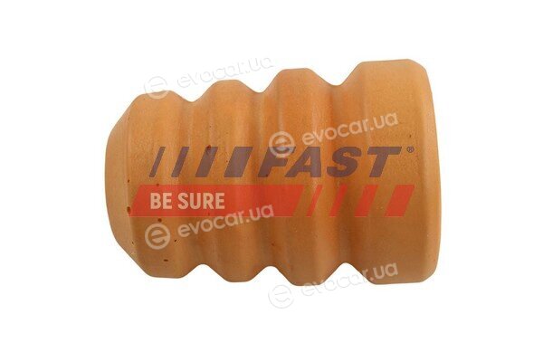 Fast FT18113