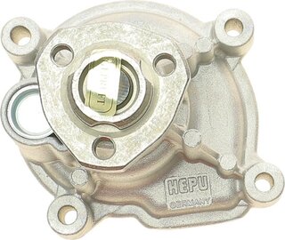 Hepu P581