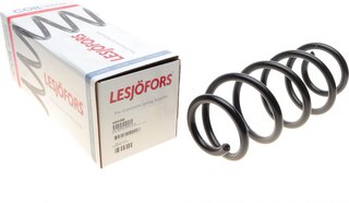 Lesjofors 4004288