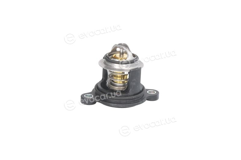 Mahle TI 246 50
