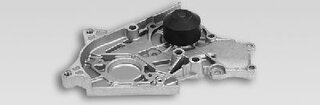 Hepu P726