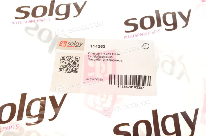 Solgy 114263