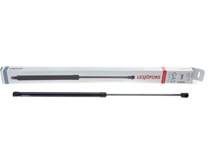 Lesjofors 8092507