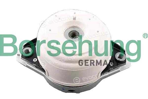 Borsehung B12657